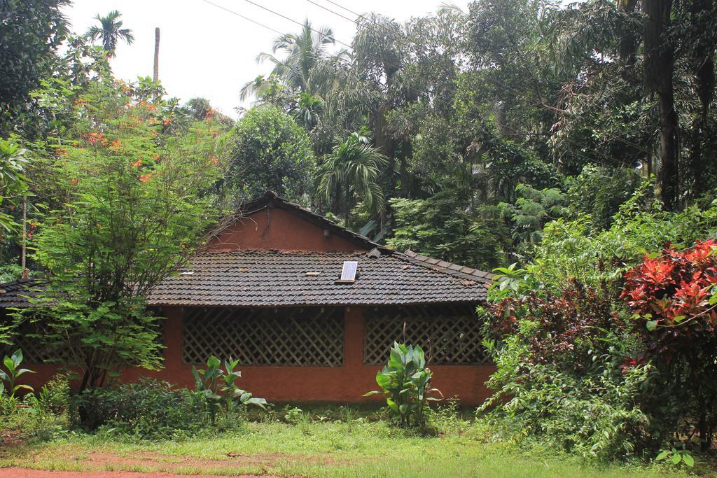 Dudhsagar Plantation Villa Cormonem Exterior photo